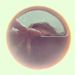 Profile Picture of Colin Winsor (@colinwinsor) on Pinterest