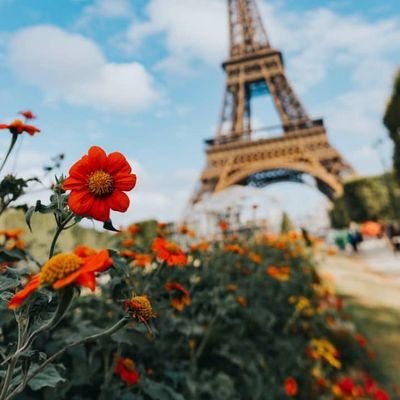 Profile Picture of Pelemo Folakemi (@FolakemiPelemo) on Twitter