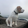 Profile Picture of Andrew Bottomley (@@andybotts77) on Tiktok