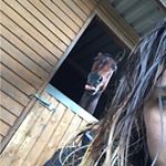 Profile Picture of Eleanor Walters (@ellie_walters_16204) on Instagram