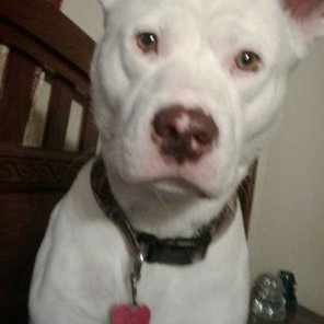 Profile Picture of Tim Danner (@danner_tim) on Twitter