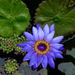 Profile Picture of Ronda Mattison (@mattison1473) on Pinterest