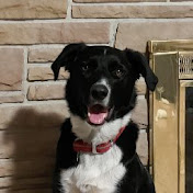 Profile Picture of John Cronin (@All-For-None) on Youtube