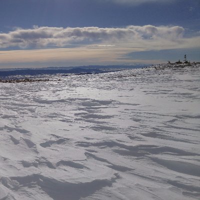 Profile Picture of Jason Mercer (@ecojydrology) on Twitter
