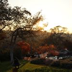 Profile Picture of The Martin’s (@quailoaksranch) on Instagram