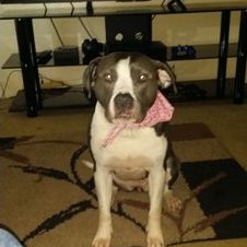 Profile Picture of Andy Groover (@GrooverAndy) on Twitter