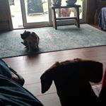 Profile Picture of James Graves (@james.graves.33865) on Instagram