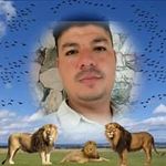 Profile Picture of Steven Brenes (@brenes554) on Instagram