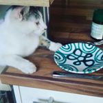 Profile Picture of Fiona Würmer (@fionawurmer) on Instagram