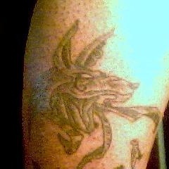 Profile Picture of David Callens (@mysonanubis) on Myspace