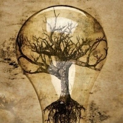 Profile Picture of Brian Strausbaugh (@run4ever25) on Twitter