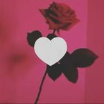 Profile Picture of Alexia Vasquez (@alexiavasquez85) on Instagram