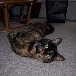 Profile Picture of Elisa Self (@312717513) on Myspace