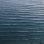 Profile Picture of Sam Rosenberg (@samr1000000) on Instagram