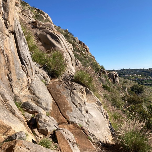 Profile Picture of Julia Taylor (@juliat320) on Poshmark