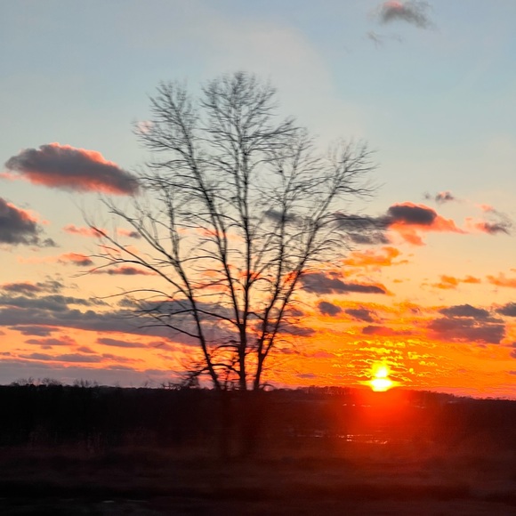 Profile Picture of Claudia Padron (@claudiapdron71) on Poshmark