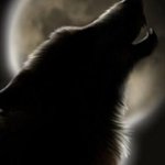 Profile Picture of Brian Saric (@siubufbumcfond) on Instagram