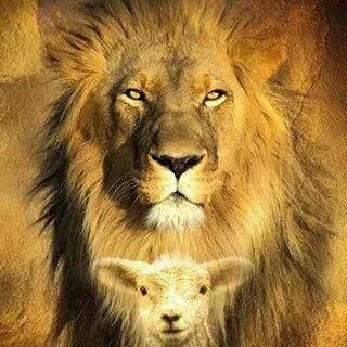Profile Picture of Javier Anaya (@javieranaya4915) on Twitter