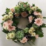 Profile Picture of Paula Ashby (@paulajaneashby) on Instagram