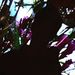 Profile Picture of Augusto Alonso (@augustoalonso19) on Pinterest