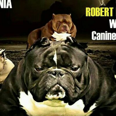 Profile Picture of Jason Yohe (@higbeeline) on Twitter