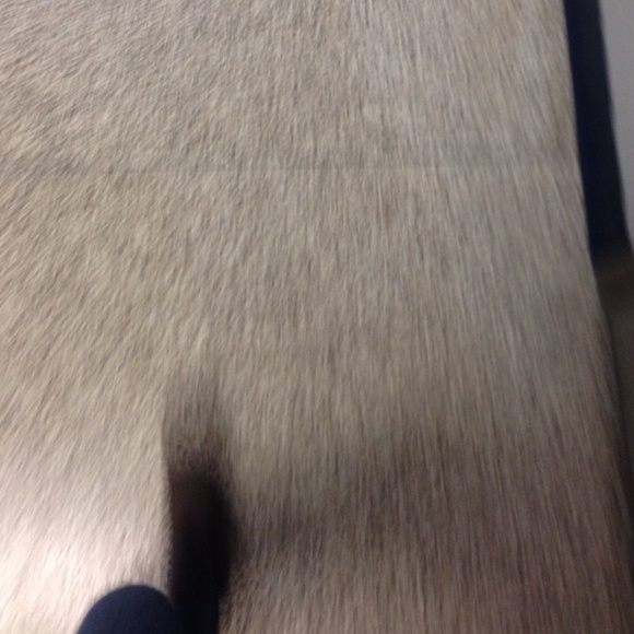 Bianca Zaguroli - Poshmark Profile Picture of Bianca Zaguroli (@biancazagg) on Poshmark