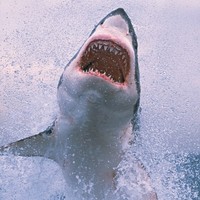 Profile Picture of Mark Luby (@mark-luby-4) on Quora