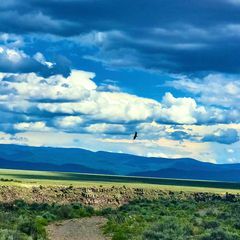 Profile Picture of Bryan Kough (@bryankough) on Tiktok