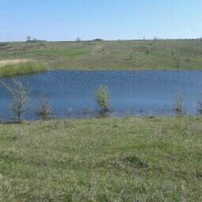 Profile Picture of JAmal DIAB (@jamaldiab24) on Twitter