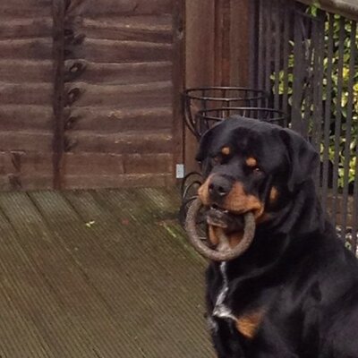 Profile Picture of Scott Pennington (@scottpenning) on Twitter