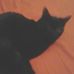 Profile Picture of Steven Schmit (@steven.schmit.180) on Facebook