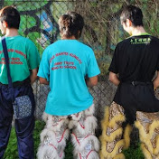 Profile Picture of Tommy Tsui (@tommytsui) on Youtube