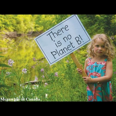 Profile Picture of Marcy Ben Zimmy (@ben_zimmy) on Twitter