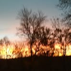 Profile Picture of Paulette Roche (@paulette.roche.969) on Facebook