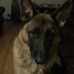 Frank catalano - Instagram Profile Picture of Frank catalano (@fcat_26) on Instagram