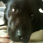 Profile Picture of Ashleigh Hahn (@ashleighhahn5476) on Youtube