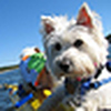 Profile Picture of luv2kayak (@luv2kayak) on Flickr