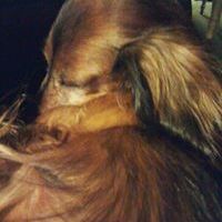 Profile Picture of Crystal Bialkowski (@crystalbialkows) on Pinterest