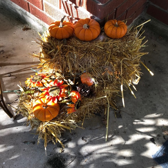 Profile Picture of Rosa Jodry (@rrejodry) on Poshmark