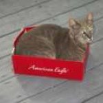 Profile Picture of Jean Murrell (@jeanie5of5) on Instagram