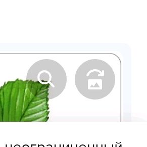 Profile Picture of mica ili mixail (@davidpopyck) on Tiktok