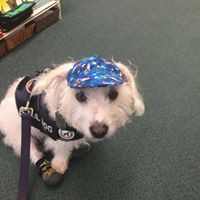 Profile Picture of Laureen Fengstad (@laureen-fengstad) on Quora