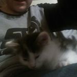 Profile Picture of Jason M Amidon (@jasonmamidon) on Instagram