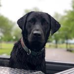 Profile Picture of Bennett Crow (@bennettcrow) on Instagram
