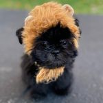 Profile Picture of Eugene Lavender Mac🧞🖤 (@genielavmac) on Instagram