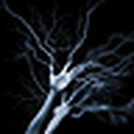 Profile Picture of David Gentry (@mufc66) on Flickr