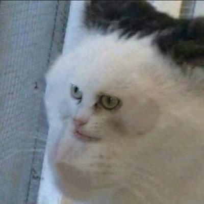 Daniel - Twitter Profile Picture of Daniel (@DrSpencerBean) on Twitter