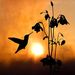 Profile Picture of Jodie Pearson (@jodiearson1) on Pinterest