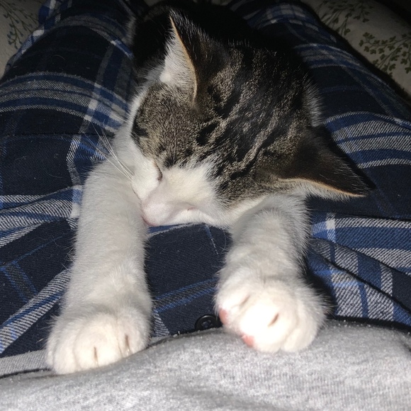 Annabel Endresen - Poshmark Profile Picture of Annabel Endresen (@annabelendresen) on Poshmark