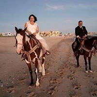 Profile Picture of Norma Alvarado (@norma-alvarado-5) on Quora